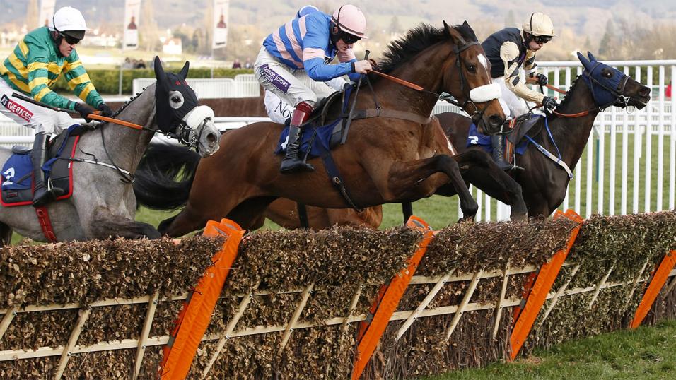 There is jumps racing at Taunton on Monday